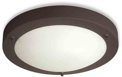 3% OFF on Philips ECB 300 Antraict Ceiling Lamp 3% OFF on Philips ECB 300 Antraict Ceiling Lamp