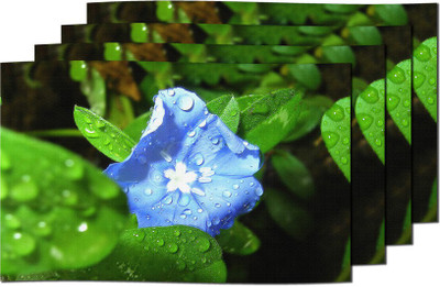 10% OFF on meSleep Rectangular Pack of 4 Table Placemat 10% OFF on meSleep Rectangular Pack of 4 Table Placemat