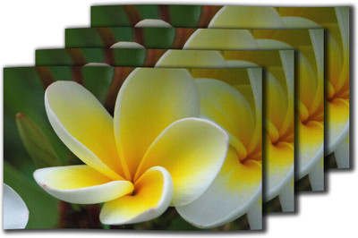 10% OFF on meSleep Rectangular Pack of 4 Table Placemat 10% OFF on meSleep Rectangular Pack of 4 Table Placemat