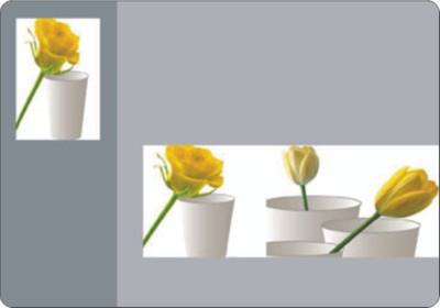 Freelance Rectangular Pack of 12 Table Placemat