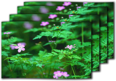 10% OFF on meSleep Rectangular Pack of 4 Table Placemat 10% OFF on meSleep Rectangular Pack of 4 Table Placemat