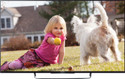 Sony BRAVIA KDL-50W800B 126 cm (50) LED TV
