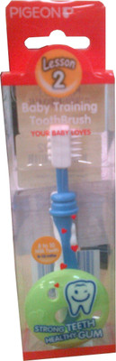 Pigeon Training Toothbrush Lesson-2 Pigeon Training Toothbrush Lesson-2