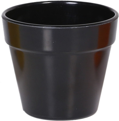 50% OFF on Evergreen Plastic Vase 50% OFF on Evergreen Plastic Vase