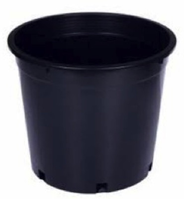 45% OFF on E-Plant Plastic Vase 45% OFF on E-Plant Plastic Vase