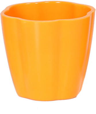 50% OFF on Evergreen Plastic Vase 50% OFF on Evergreen Plastic Vase