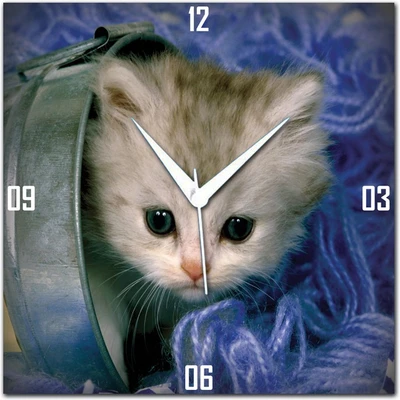 70% OFF on WebPlaza Sweet Cat Analog Wall Clock Multicolor 70% OFF on WebPlaza Sweet Cat Analog Wall Clock Multicolor