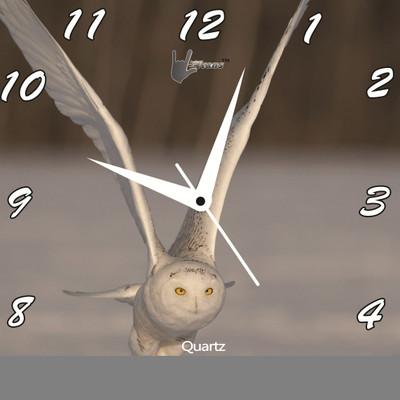61% OFF on Lycans Flying Owl Analog Wall Clock Grey, White 61% OFF on Lycans Flying Owl Analog Wall Clock Grey, White