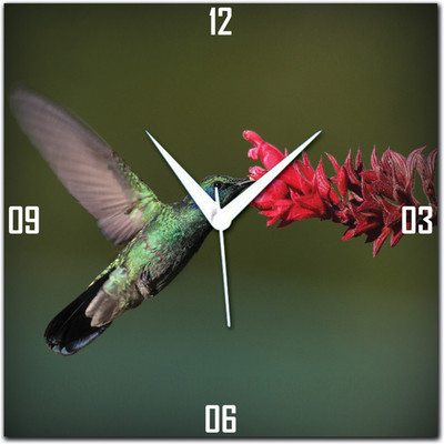 72% OFF on Amore Hummingbird Analog Wall Clock Multicolor 72% OFF on Amore Hummingbird Analog Wall Clock Multicolor