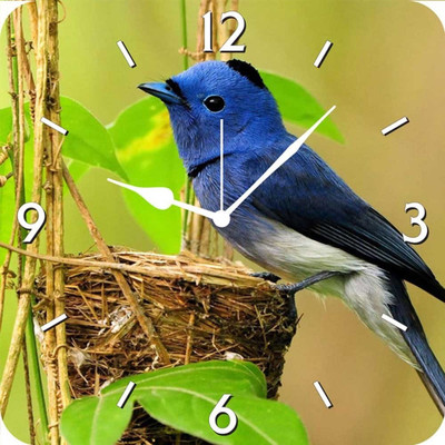 50% OFF on FurnishFantasy Blue Bird Analog Wall Clock Multicolor 50% OFF on FurnishFantasy Blue Bird Analog Wall Clock Multicolor