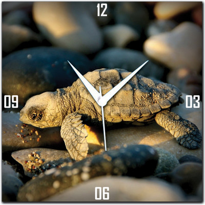 72% OFF on Amore Baby Animal Analog Wall Clock Multicolor