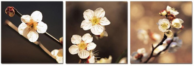 50% OFF on Go Hooked White And Yellow Mdf 3 Panel Wallpaper