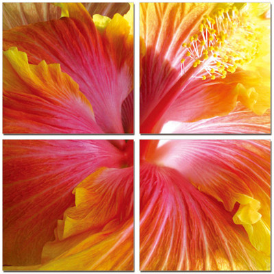 33% OFF on Go Hooked Red Mdf 4 Panel Wallpaper 33% OFF on Go Hooked Red Mdf 4 Panel Wallpaper