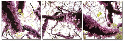 50% OFF on Go Hooked Orange And Yellow Mdf 3 Panel Wallpaper