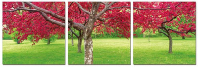 50% OFF on Go Hooked Green And Red Mdf 3 Panel Wallpaper 50% OFF on Go Hooked Green And Red Mdf 3 Panel Wallpaper