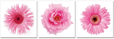 50% OFF on Go Hooked Pink And White Mdf 3 Panel Wallpaper