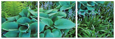 50% OFF on Go Hooked 3 Panel Wall Decor 50% OFF on Go Hooked 3 Panel Wall Decor