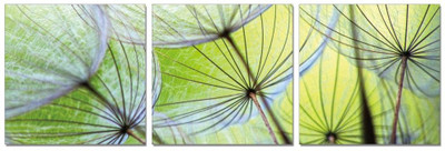 50% OFF on Go Hooked 3 Panel Wall Decor 50% OFF on Go Hooked 3 Panel Wall Decor