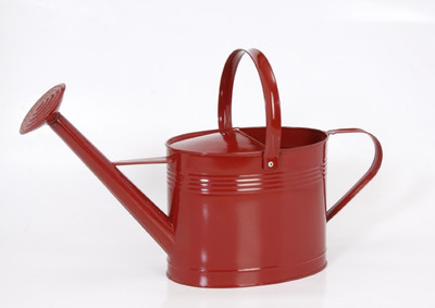 Goyal India Powder Coated 5 L Water Cane Goyal India Powder Coated 5 L Water Cane