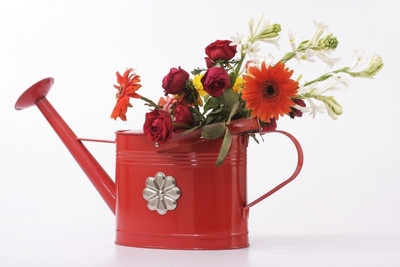 Goyal India Iron with Powder Coating 5 L Water Cane Goyal India Iron with Powder Coating 5 L Water Cane