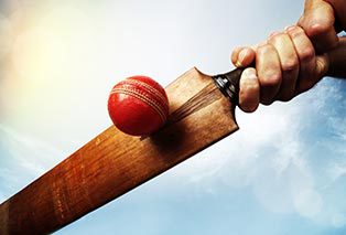Cricket 